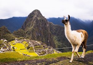 img-destaque-viajar-operadora-peruvian-experience